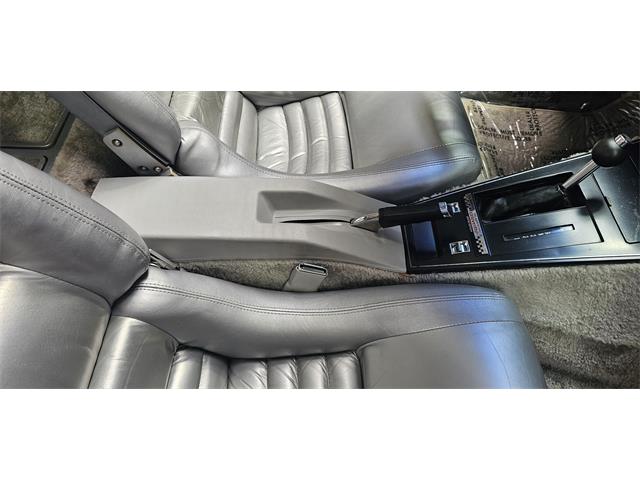 1978 Chevrolet Corvette (Indy 500 Pace Car) (CC-2098196) for sale in Hudson, Florida
