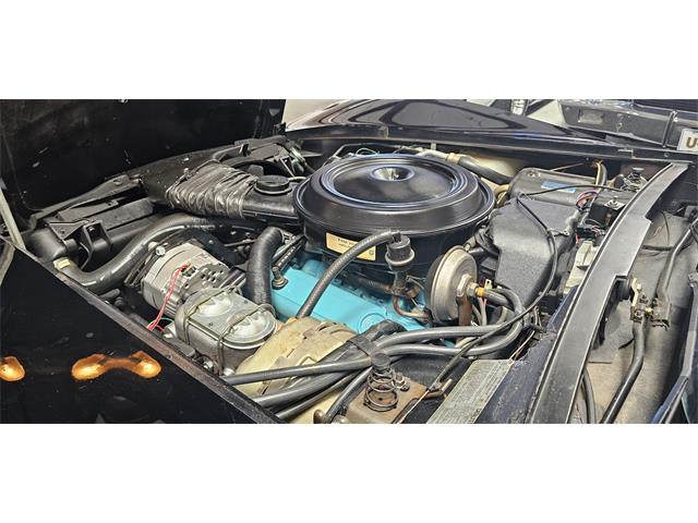 1978 Chevrolet Corvette (Indy 500 Pace Car) (CC-2098196) for sale in Hudson, Florida