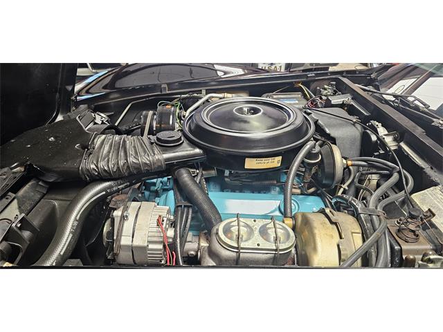 1978 Chevrolet Corvette (Indy 500 Pace Car) (CC-2098196) for sale in Hudson, Florida