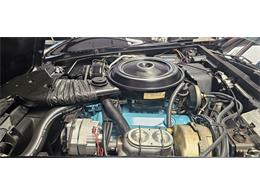 1978 Chevrolet Corvette (Indy 500 Pace Car) (CC-2098196) for sale in Hudson, Florida