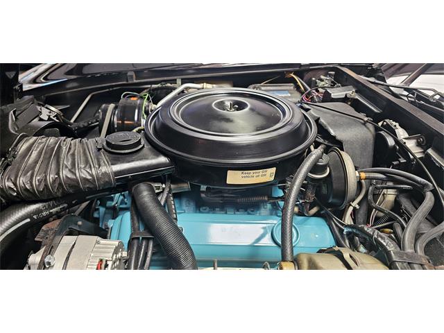 1978 Chevrolet Corvette (Indy 500 Pace Car) (CC-2098196) for sale in Hudson, Florida