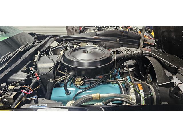 1978 Chevrolet Corvette (Indy 500 Pace Car) (CC-2098196) for sale in Hudson, Florida