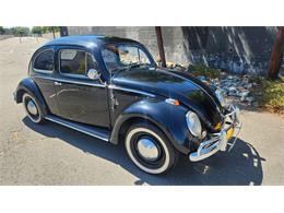1958 Volkswagen Beetle (CC-2098210) for sale in N Hollywood, California