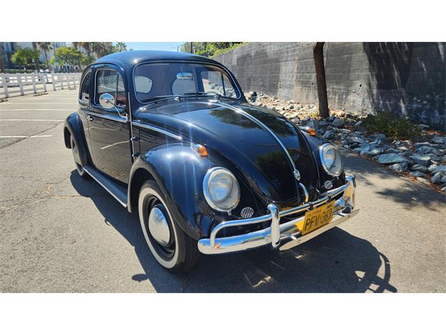 1958 Volkswagen Beetle (CC-2098210) for sale in N Hollywood, California