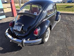 1968 Volkswagen Beetle (CC-2090826) for sale in St. Charles, Illinois
