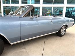 1966 Chevrolet Chevelle (CC-2098294) for sale in Bradenton, Florida