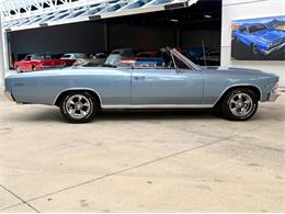 1966 Chevrolet Chevelle (CC-2098294) for sale in Bradenton, Florida