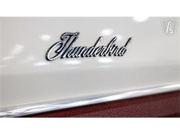 1976 Ford Thunderbird (CC-2098299) for sale in New Braundfels, Texas