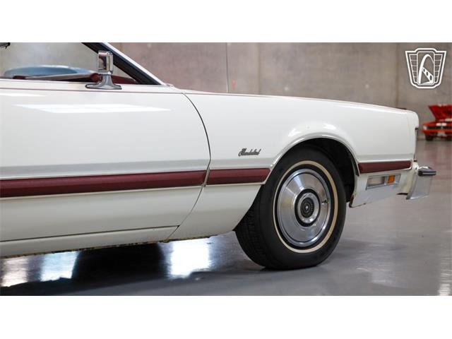 1976 Ford Thunderbird (CC-2098299) for sale in New Braundfels, Texas
