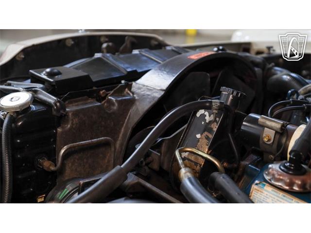 1976 Ford Thunderbird (CC-2098299) for sale in New Braundfels, Texas