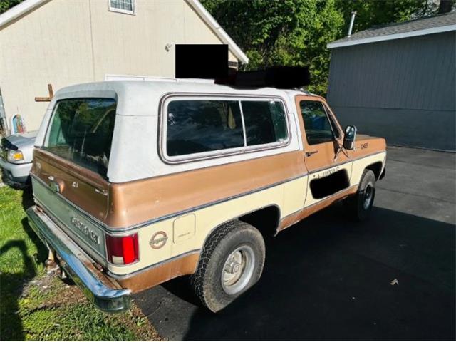 1979 Chevrolet Blazer (CC-2098309) for sale in Cadillac, Michigan