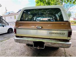 1979 Chevrolet Blazer (CC-2098309) for sale in Cadillac, Michigan