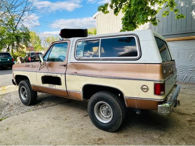 1979 Chevrolet Blazer (CC-2098309) for sale in Cadillac, Michigan