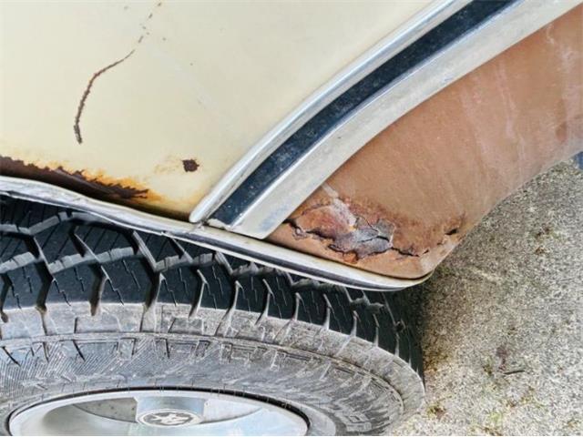 1979 Chevrolet Blazer (CC-2098309) for sale in Cadillac, Michigan