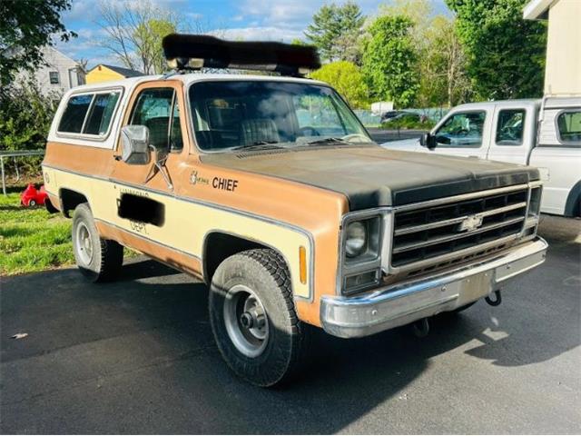 1979 Chevrolet Blazer (CC-2098309) for sale in Cadillac, Michigan