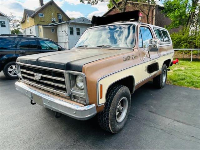 1979 Chevrolet Blazer (CC-2098309) for sale in Cadillac, Michigan