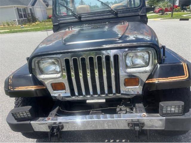 1987 Jeep Wrangler (CC-2098318) for sale in Cadillac, Michigan