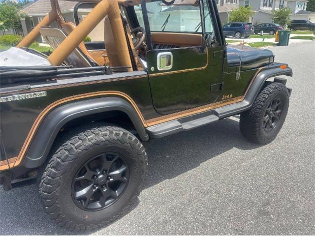 1987 Jeep Wrangler (CC-2098318) for sale in Cadillac, Michigan
