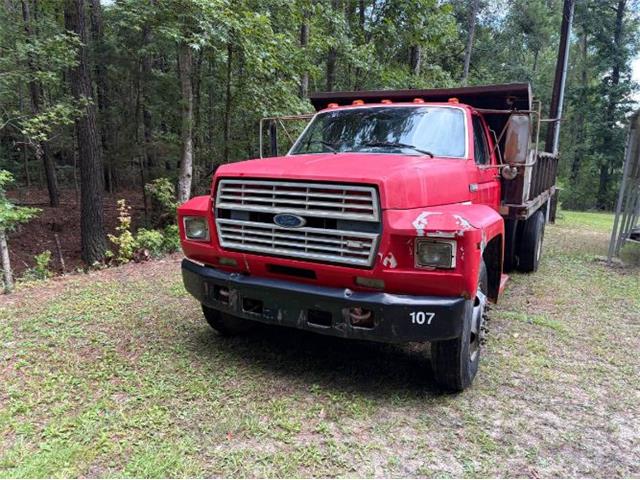 1985 Ford F800 (CC-2098322) for sale in Cadillac, Michigan