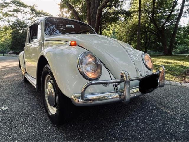 1966 Volkswagen Beetle on ClassicCars.com
