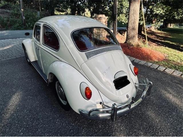 1966 Volkswagen Beetle (CC-2098323) for sale in Cadillac, Michigan