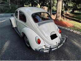 1966 Volkswagen Beetle (CC-2098323) for sale in Cadillac, Michigan