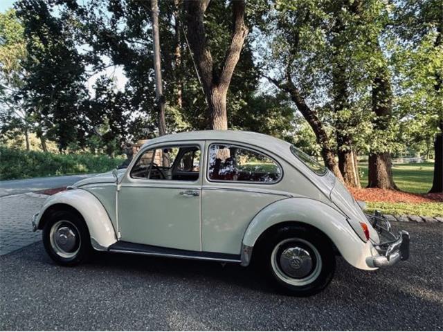 1966 Volkswagen Beetle (CC-2098323) for sale in Cadillac, Michigan
