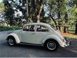 1966 Volkswagen Beetle (CC-2098323) for sale in Cadillac, Michigan