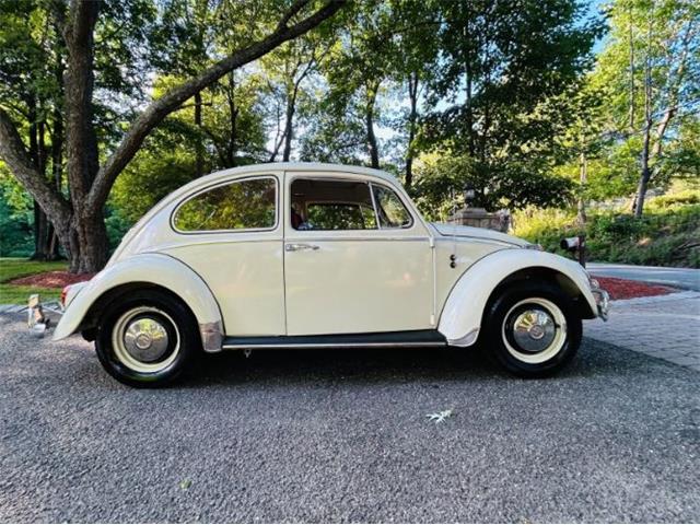 1966 Volkswagen Beetle (CC-2098323) for sale in Cadillac, Michigan