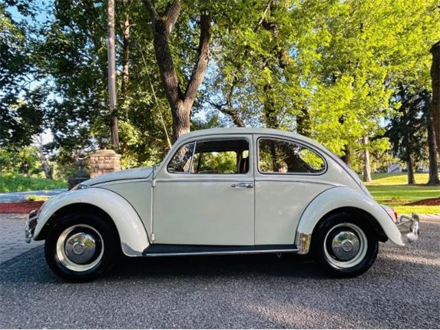 1966 Volkswagen Beetle (CC-2098323) for sale in Cadillac, Michigan
