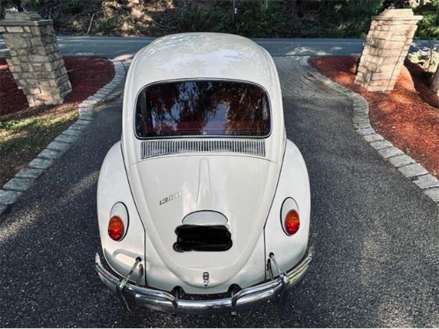 1966 Volkswagen Beetle (CC-2098323) for sale in Cadillac, Michigan