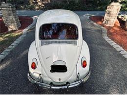 1966 Volkswagen Beetle (CC-2098323) for sale in Cadillac, Michigan