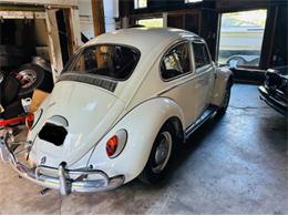 1966 Volkswagen Beetle (CC-2098323) for sale in Cadillac, Michigan