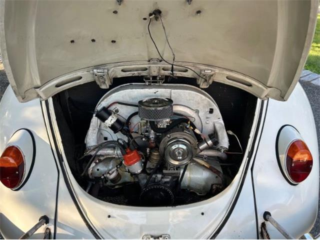 1966 Volkswagen Beetle (CC-2098323) for sale in Cadillac, Michigan