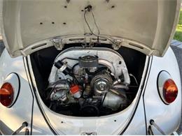1966 Volkswagen Beetle (CC-2098323) for sale in Cadillac, Michigan
