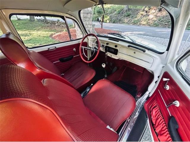 1966 Volkswagen Beetle (CC-2098323) for sale in Cadillac, Michigan