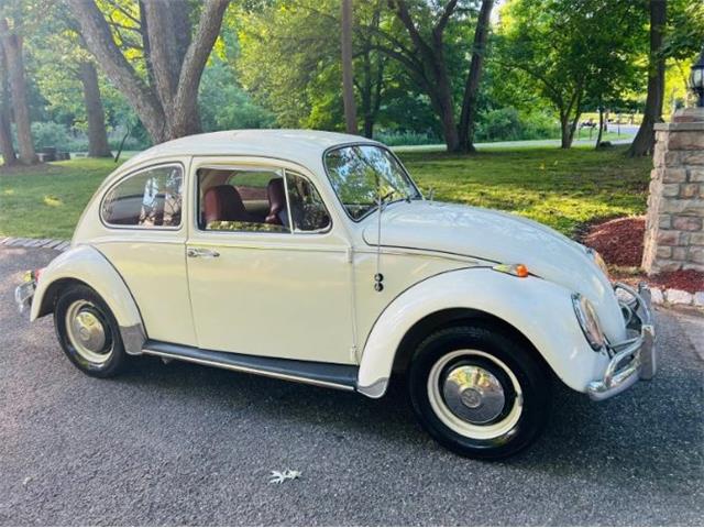 1966 Volkswagen Beetle (CC-2098323) for sale in Cadillac, Michigan