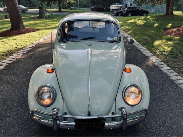1966 Volkswagen Beetle (CC-2098323) for sale in Cadillac, Michigan