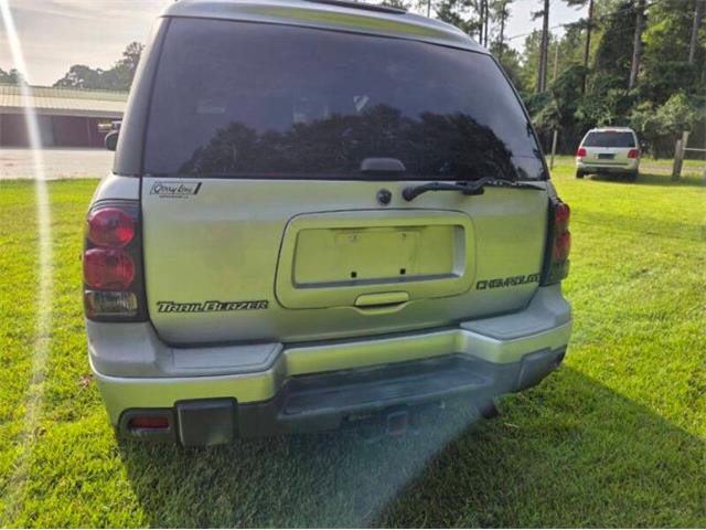 2004 Chevrolet Trailblazer (CC-2098327) for sale in Cadillac, Michigan
