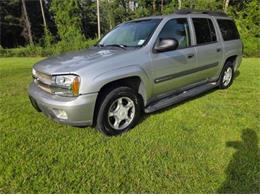 2004 Chevrolet Trailblazer (CC-2098327) for sale in Cadillac, Michigan