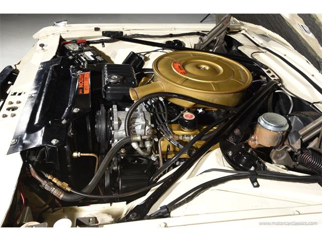 1965 Ford Thunderbird (CC-2098358) for sale in Farmingdale, New York