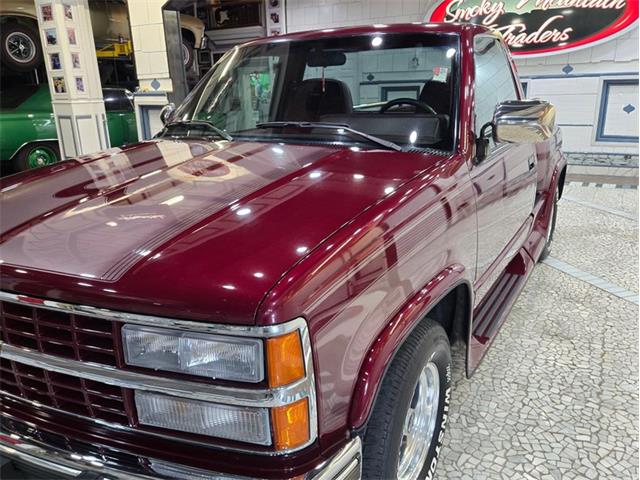 1993 Chevrolet 1500 (CC-2098363) for sale in Lenoir City, Tennessee