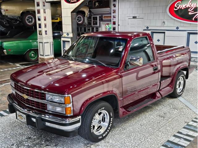 1993 Chevrolet 1500 (CC-2098363) for sale in Lenoir City, Tennessee