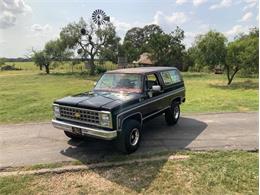 1980 Chevrolet Blazer (CC-2098365) for sale in Fredericksburg, Texas