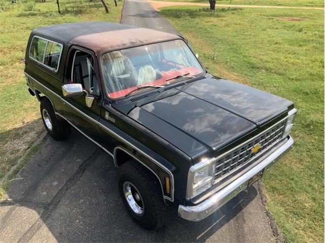 1980 Chevrolet Blazer (CC-2098365) for sale in Fredericksburg, Texas