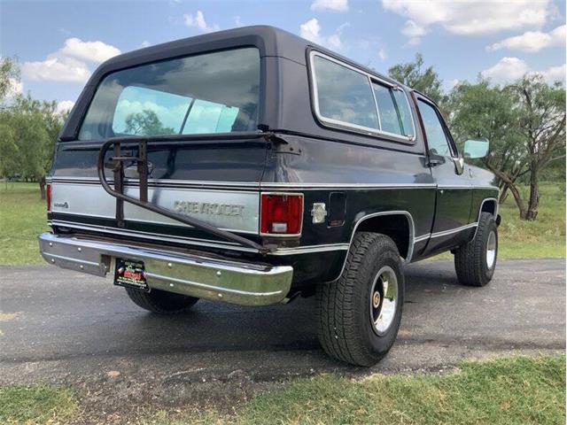 1980 Chevrolet Blazer (CC-2098365) for sale in Fredericksburg, Texas
