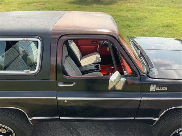 1980 Chevrolet Blazer (CC-2098365) for sale in Fredericksburg, Texas