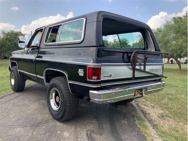 1980 Chevrolet Blazer (CC-2098365) for sale in Fredericksburg, Texas