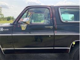 1980 Chevrolet Blazer (CC-2098365) for sale in Fredericksburg, Texas