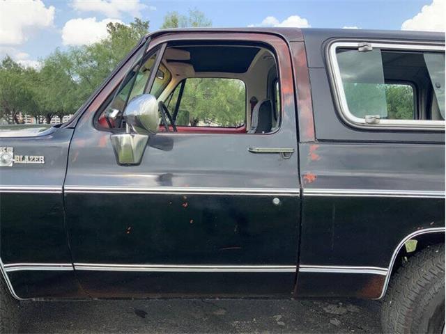 1980 Chevrolet Blazer (CC-2098365) for sale in Fredericksburg, Texas